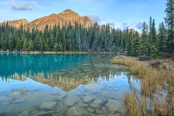 Naturaleza Canadá — Foto de Stock