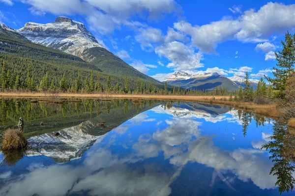 Nature Canada — Stock Photo, Image