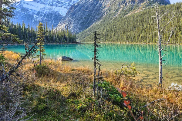 Nature Canada — Stock Photo, Image