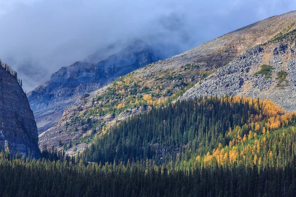 Natur Kanada — Stockfoto