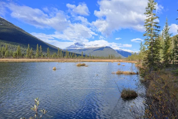 Nature Canada — Stock Photo, Image