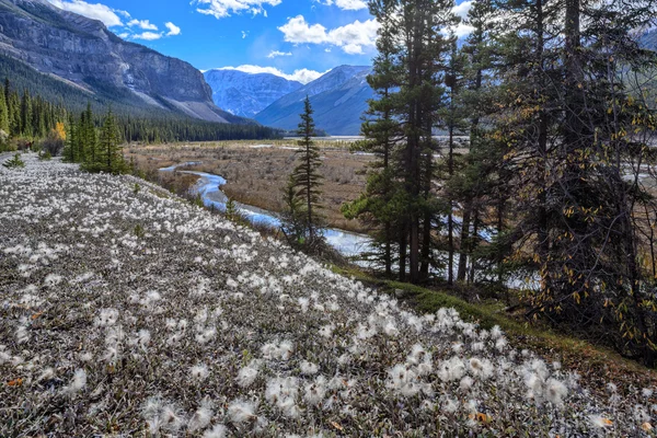 Doğa Kanada — Stok fotoğraf