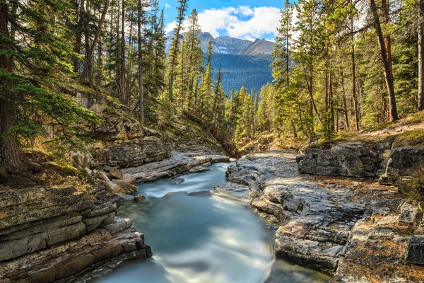 Naturaleza Canadá — Foto de Stock