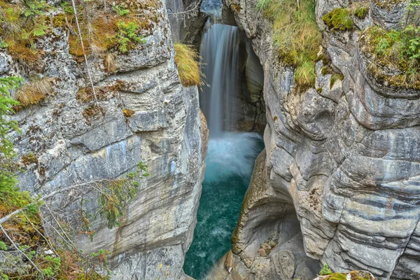 Příroda Kanada — Stock fotografie