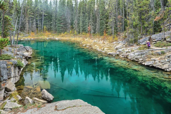 Nature Canada — Stock Photo, Image