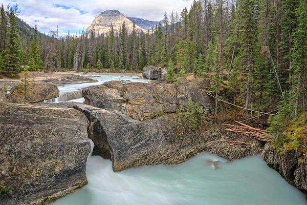 Nature Canada — Stock Photo, Image