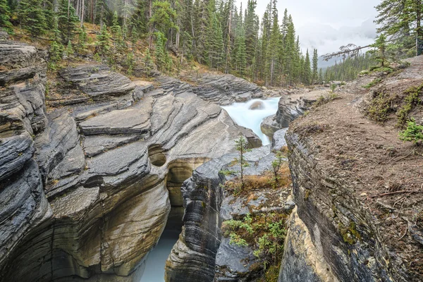 Natuur Canada — Stockfoto