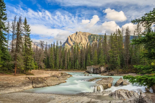 Nature Canada — Stock Photo, Image