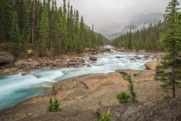 Natur Kanada — Stockfoto