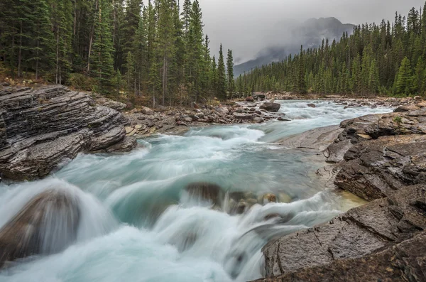 Natur Kanada — Stockfoto