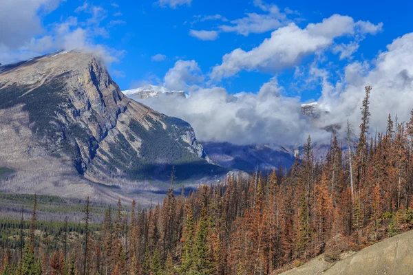 Natur Kanada — Stockfoto