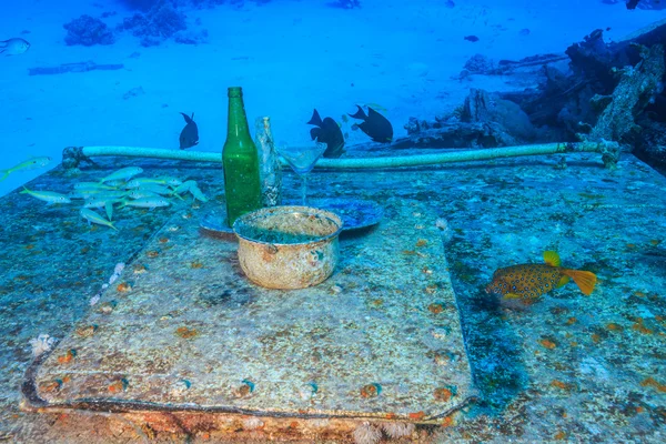 Underwater still life — Stock Photo, Image
