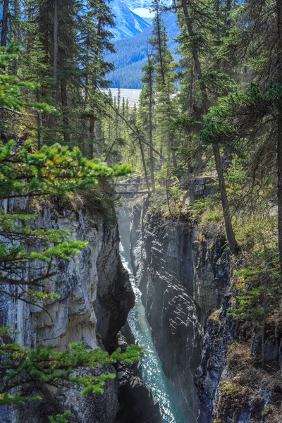 Skönhet Creek — Stockfoto