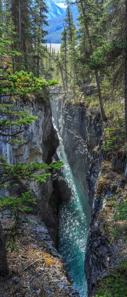 Skönhet Creek — Stockfoto