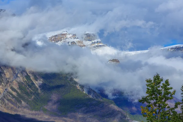 Icefield Parkway — Stok fotoğraf