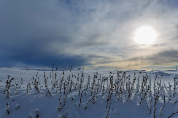 Neve e céu — Fotografia de Stock