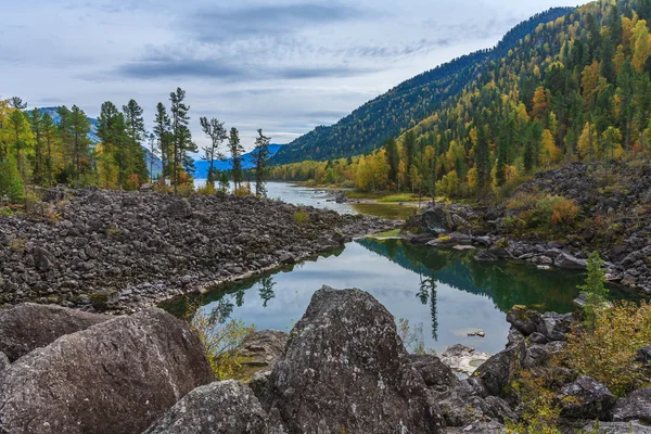 Teletskoe озеро — стокове фото