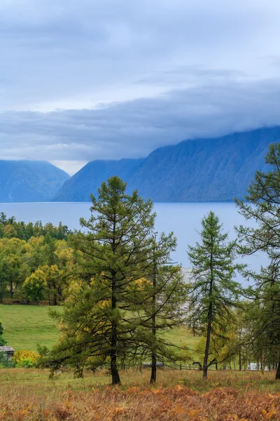 Mountain village in the Altai Mountains — Stock Photo, Image