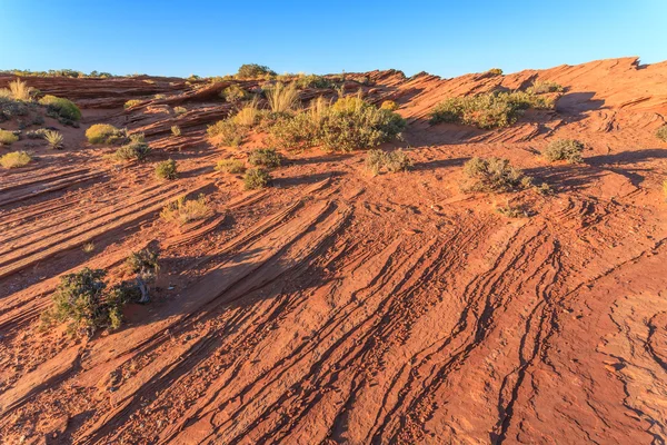 Texture of sandstone — Stock Photo, Image