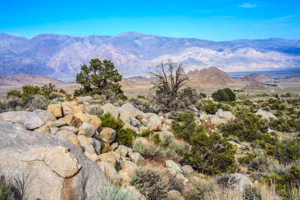 阿拉巴马州山 — 图库照片