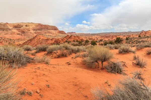 Wave sandstone — Stock Photo, Image