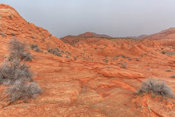 Wave sandstone — Stock Photo, Image