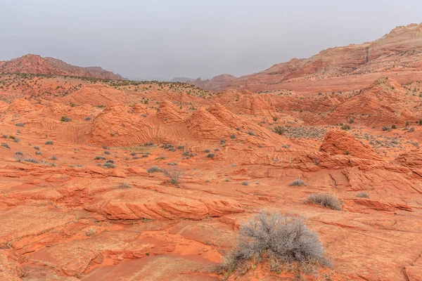 Wave sandstone — Stock Photo, Image