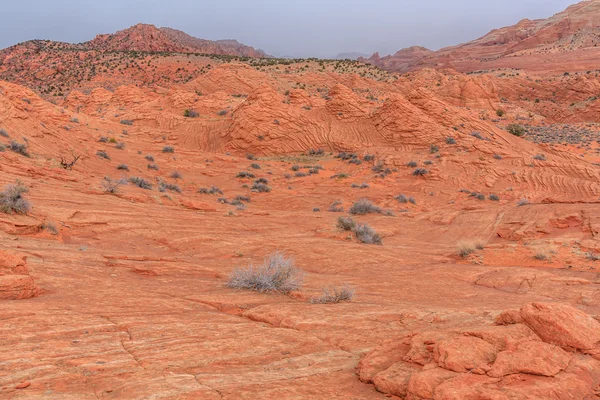 Wave sandsten — Stockfoto