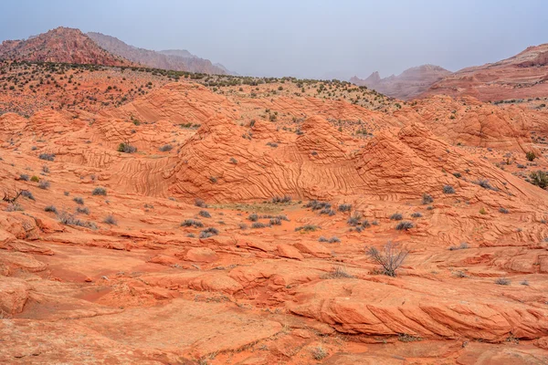 Волновой песчаник — стоковое фото