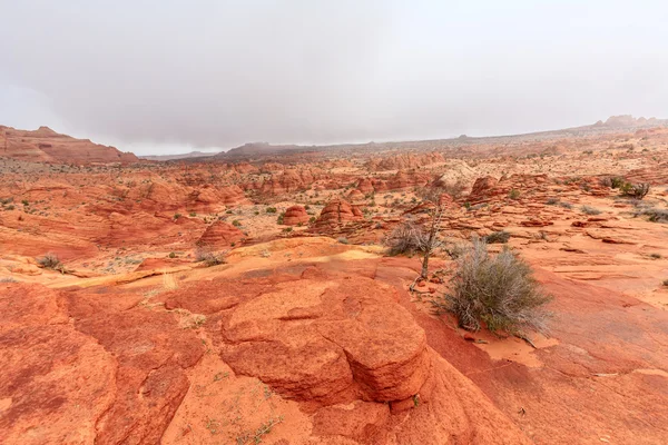 Wave sandstone — Stock Photo, Image