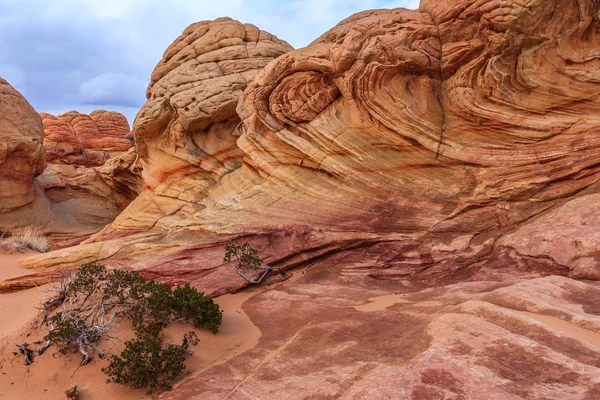 Wave sandsten — Stockfoto