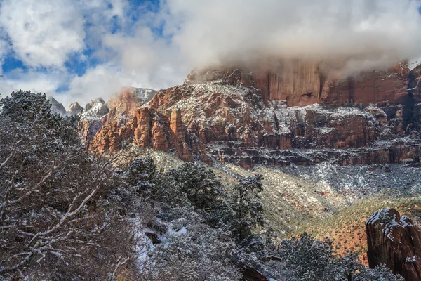 Nationaalpark Zion — Stockfoto