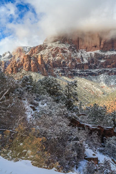 Nationaalpark Zion — Stockfoto