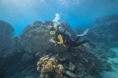 Sualtı dünyasını keşfi