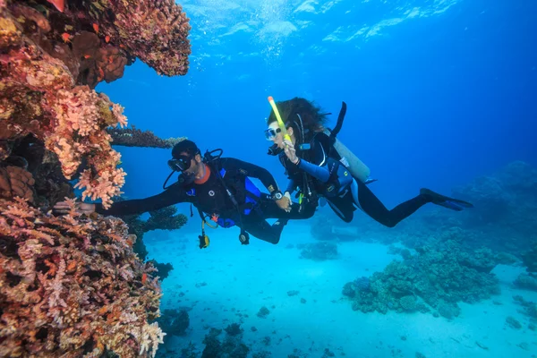 The discovery of the underwater world — Stock Photo, Image