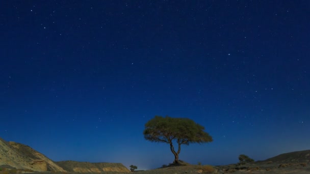 Зоряне небо в Єгипті — стокове відео