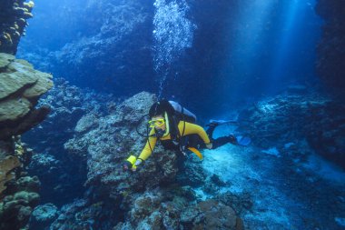 Red Sea, Mısır dalgıç