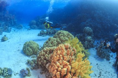 Red Sea, Mısır dalgıç