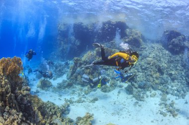 Red Sea, Mısır dalgıç