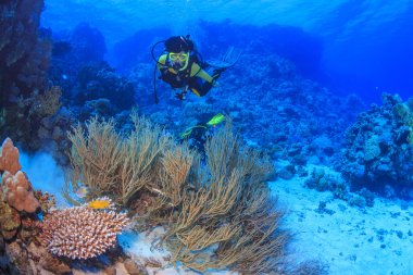 Red Sea, Mısır dalgıç