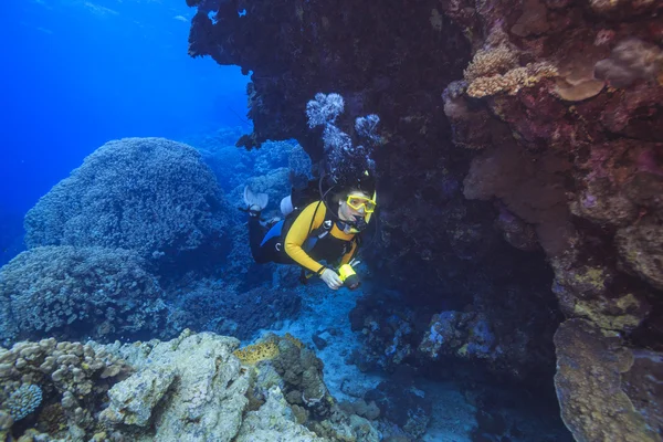 Diver in the Red Sea, Egypt — Stock Photo, Image