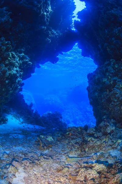 Récif corallien, Mer Rouge, Égypte — Photo