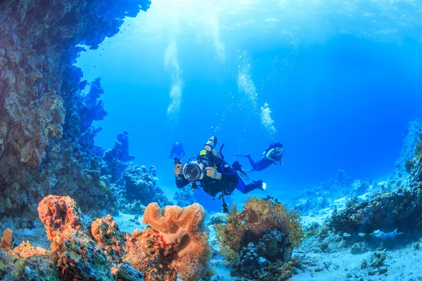 Los buzos examinaron el arrecife de coral, Mar Rojo, Egipto — Foto de Stock