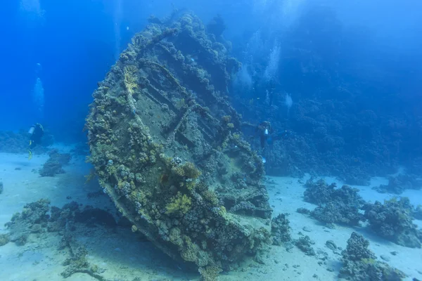 Крушение в Красном море Лицензионные Стоковые Изображения