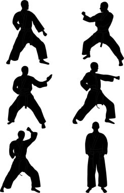 Karate siluetleri