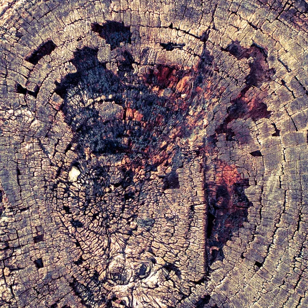 Καμένη υφή ξύλου — Φωτογραφία Αρχείου