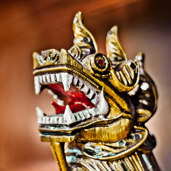Cabeça de dragão close-up . Fotos De Bancos De Imagens Sem Royalties