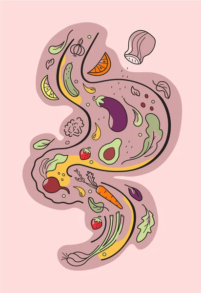 胃ジュースフルーツ野菜胃のポスター — ストック写真