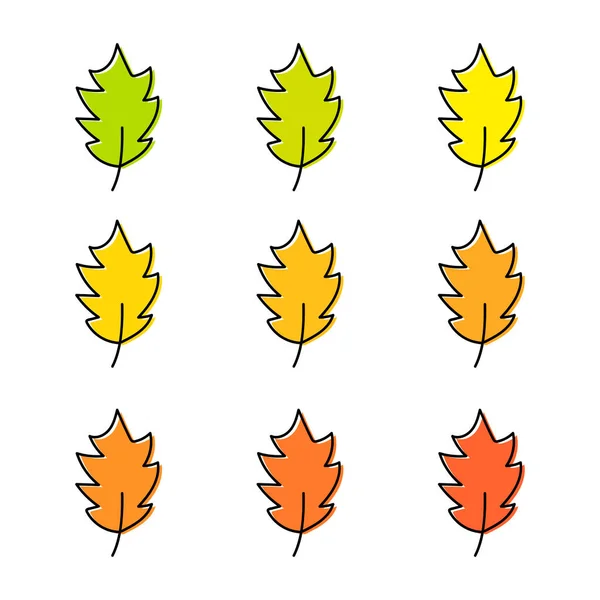 Ensemble Feuilles Automne Différents Arbres Isolés Sur Fond Blanc Les — Image vectorielle