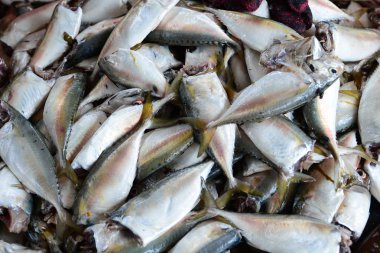 Tayland uskumru balığı